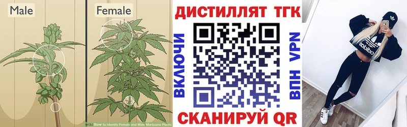 ТГК концентрат Морозовск