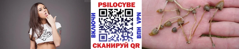 где купить наркоту  ссылка на мегу ССЫЛКА  Псилоцибиновые грибы Cubensis  Морозовск 